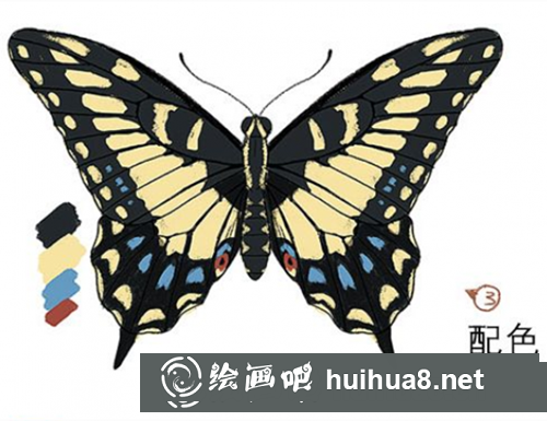 PS蝴蝶的畫法