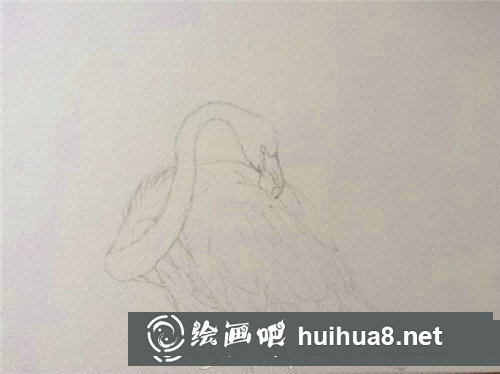 簡單易學(xué)的水彩畫火烈鳥教程