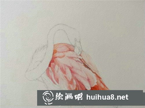簡單易學(xué)的水彩畫火烈鳥教程
