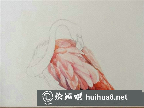 簡單易學(xué)的水彩畫火烈鳥教程