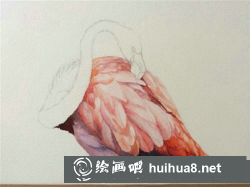簡單易學(xué)的水彩畫火烈鳥教程