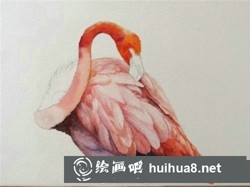 簡單易學(xué)的水彩畫火烈鳥教程