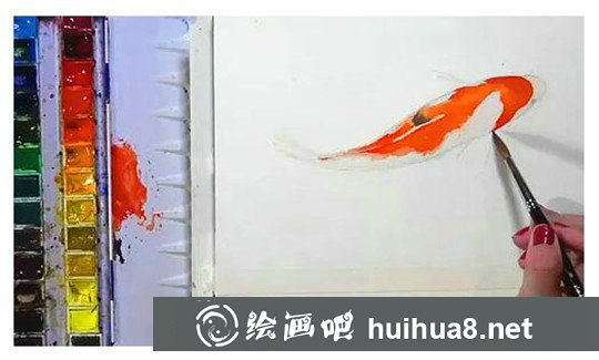 水彩畫動(dòng)物：手繪金魚繪畫步驟