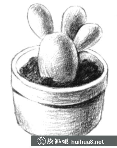 素描畫仙人掌教程