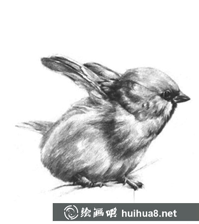 素描畫動物教程