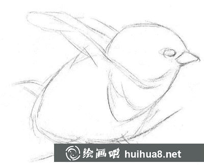 素描小鳥的畫法
