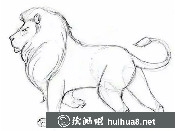 獅子速寫畫法