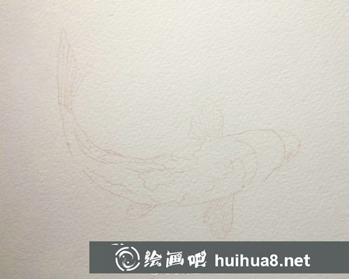 水彩畫錦鯉的畫法
