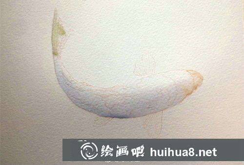 水彩畫錦鯉的畫法