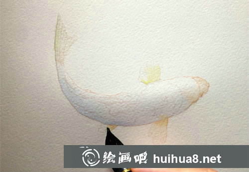 水彩畫錦鯉的畫法