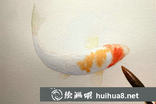 水彩畫錦鯉的畫法