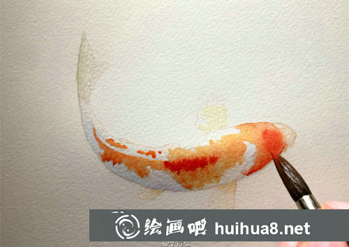 水彩畫錦鯉的畫法