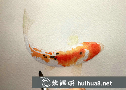 水彩畫錦鯉的畫法