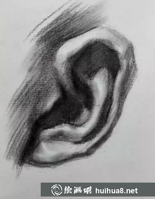 素描耳朵的畫(huà)法步驟圖