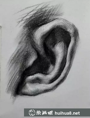 素描耳朵的畫(huà)法步驟圖
