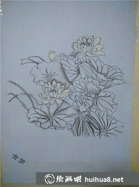 水粉畫荷花的畫法