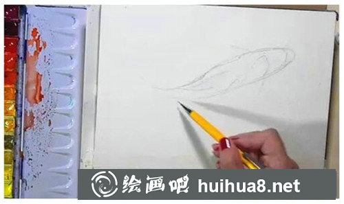 蝴蝶水彩畫