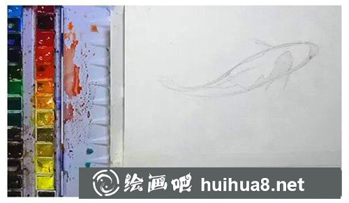 蝴蝶水彩畫