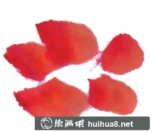 國畫山茶花畫法步驟