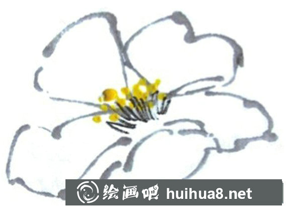 國畫山茶花畫法步驟