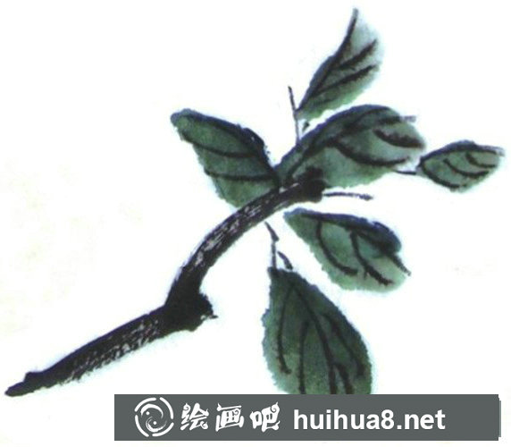 國畫山茶花畫法步驟