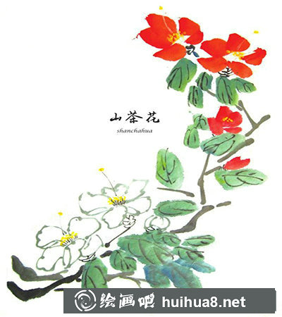 國畫山茶花畫法步驟