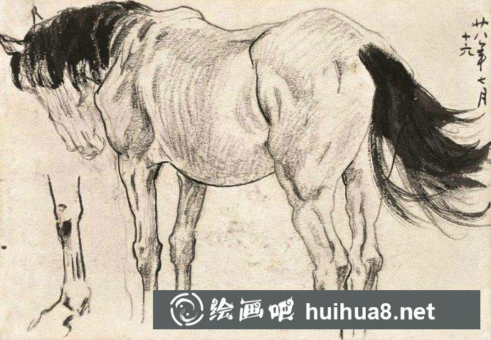 大師徐悲鴻素描作品