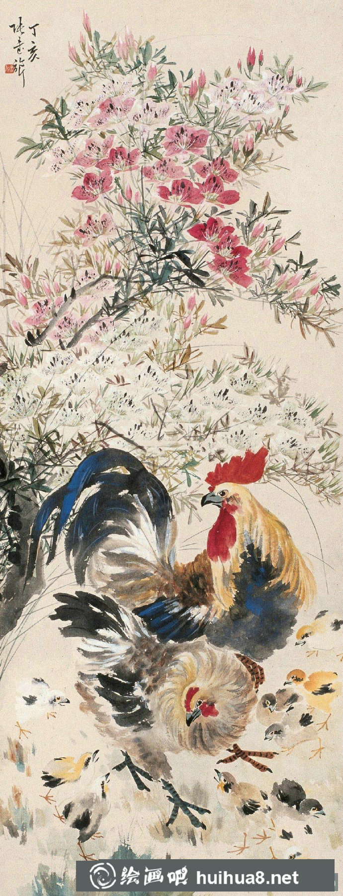 國(guó)畫(huà)大師張書(shū)旗花鳥(niǎo)作品欣賞