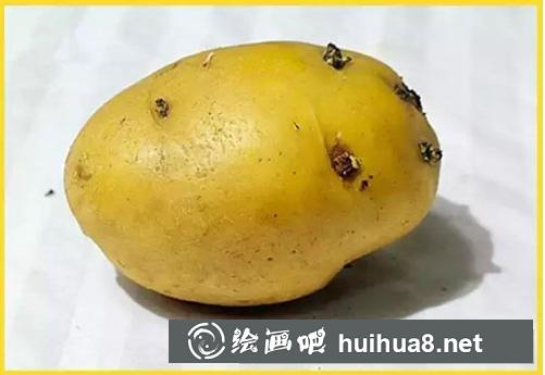 水粉靜物單體繪畫技巧