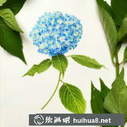 小清新水彩花卉圖片臨摹教程