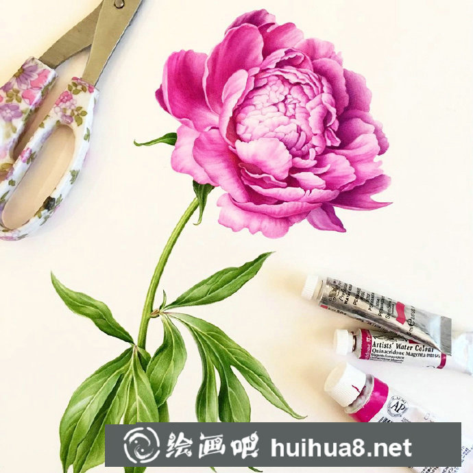 水彩花卉作品5