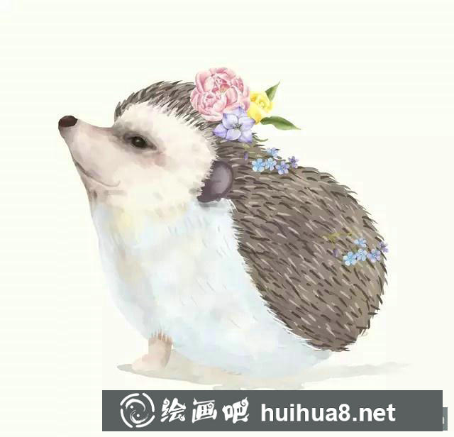 一組可愛的小動(dòng)物插畫作品欣賞