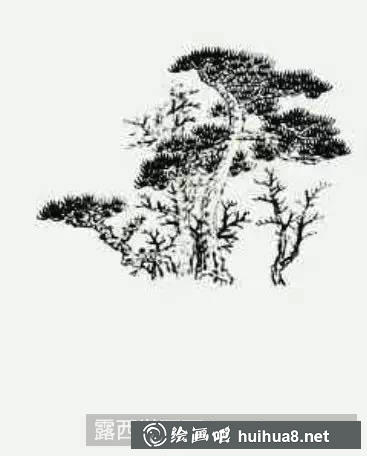 歲寒三友之松的畫法