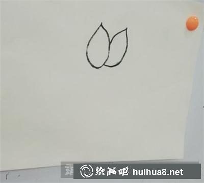 國畫荷花的畫法