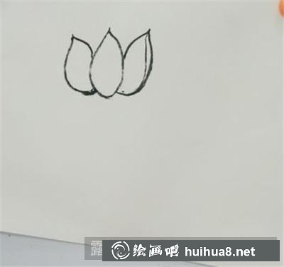 國畫荷花的畫法