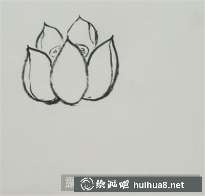 國畫荷花的畫法