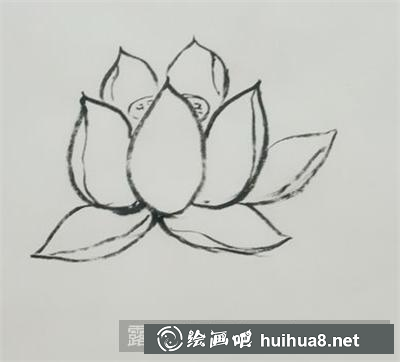 國畫荷花的畫法