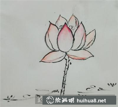 國畫荷花的畫法