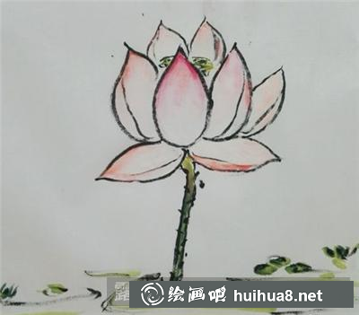 國畫荷花的畫法