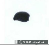 國畫小雞繪制技巧