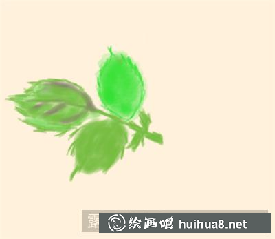 水粉畫(huà)玫瑰花教程