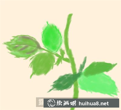 水粉畫(huà)玫瑰花教程