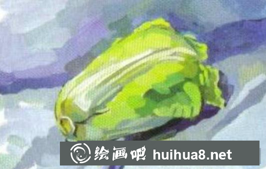 水粉白菜繪制步驟三