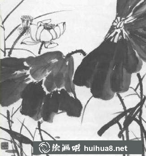 國畫水墨荷花的畫法教程