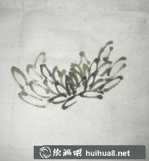 國畫菊花的畫法