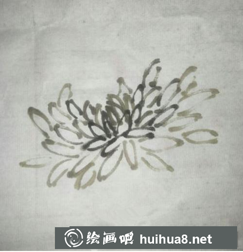國畫菊花的畫法