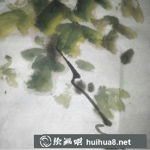 國畫菊花的畫法