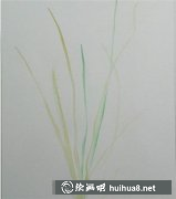 水粉畫積雪草教程入門步驟