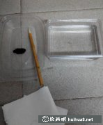 趣味國畫體驗：親手繪水墨之美