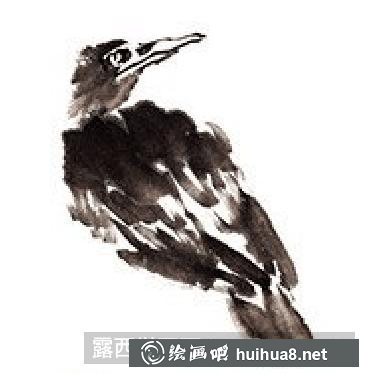 國畫教程鳥類之八哥 國畫教程鳥類之八哥
